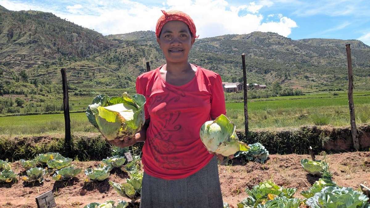 Climate & Cropping Systems