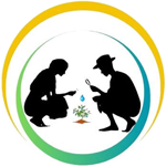 MIP Logo